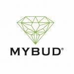 photo Mybud Shop CBD Nancy